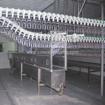 automatic quail processing equipment